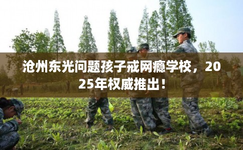 沧州东光问题孩子戒网瘾学校，2025年权威推出！