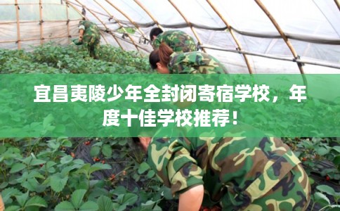 宜昌夷陵少年全封闭寄宿学校，年度十佳学校推荐！