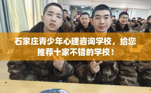 石家庄青少年心理咨询学校，给您推荐十家不错的学校！