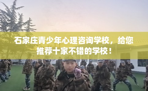 石家庄青少年心理咨询学校，给您推荐十家不错的学校！