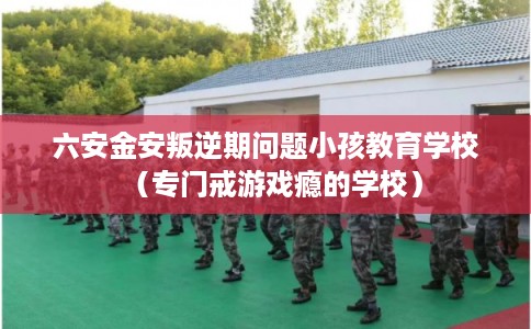 六安金安叛逆期问题小孩教育学校（专门戒游戏瘾的学校）