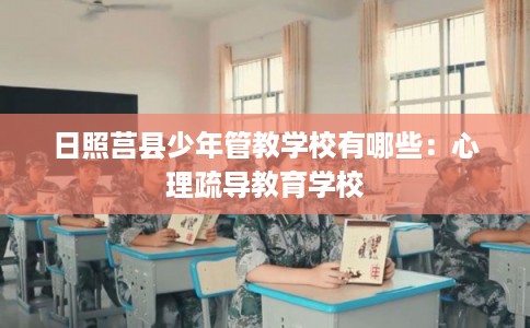 日照莒县少年管教学校有哪些：心理疏导教育学校