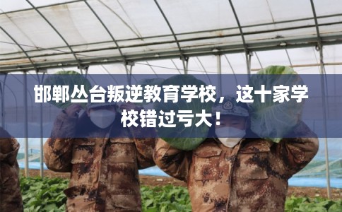 邯郸丛台叛逆教育学校，这十家学校错过亏大！