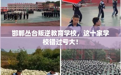邯郸丛台叛逆教育学校，这十家学校错过亏大！