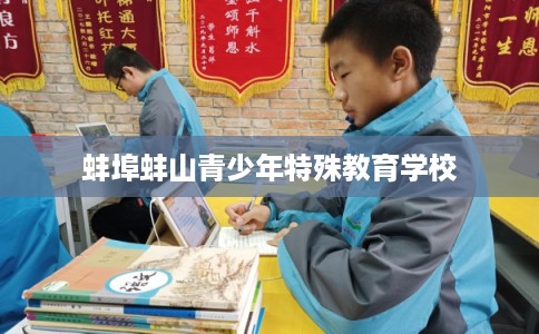 蚌埠蚌山青少年特殊教育学校