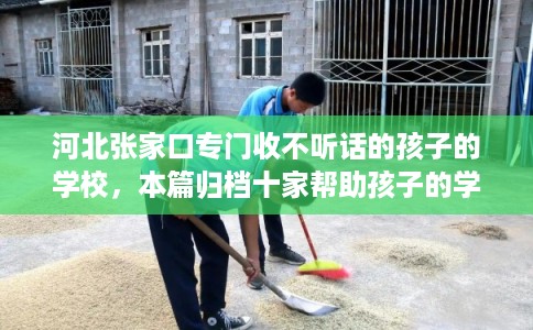河北张家口专门收不听话的孩子的学校，本篇归档十家帮助孩子的学校！