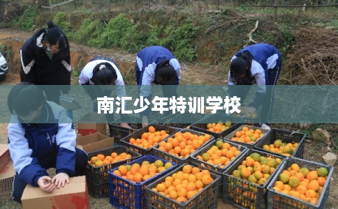 南汇少年特训学校 南汇少年特训学校