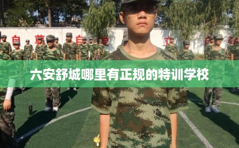 六安舒城哪里有正规的特训学校