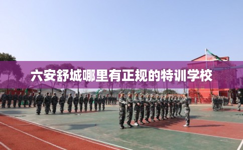 六安舒城哪里有正规的特训学校