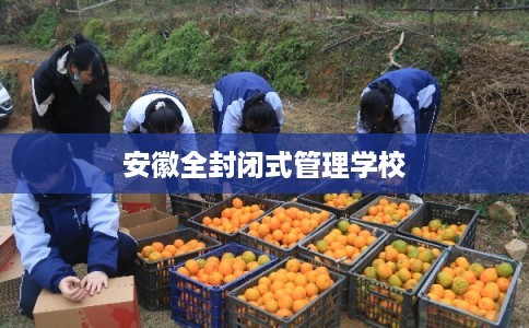 安徽全封闭式管理学校