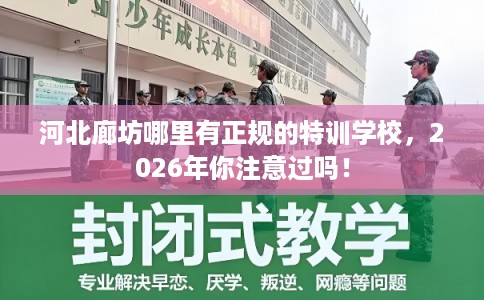 河北廊坊哪里有正规的特训学校，2026年你注意过吗！