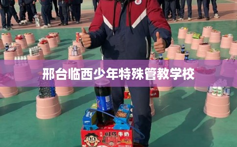 邢台临西少年特殊管教学校