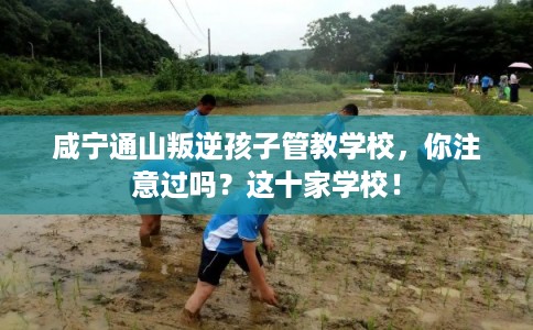 咸宁通山叛逆孩子管教学校，你注意过吗？这十家学校！
