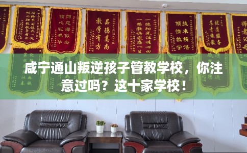 咸宁通山叛逆孩子管教学校，你注意过吗？这十家学校！