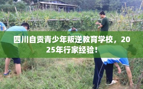 四川自贡青少年叛逆教育学校，2025年行家经验！