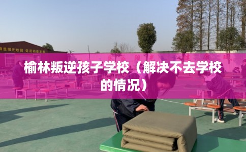 榆林叛逆孩子学校（解决不去学校的情况）