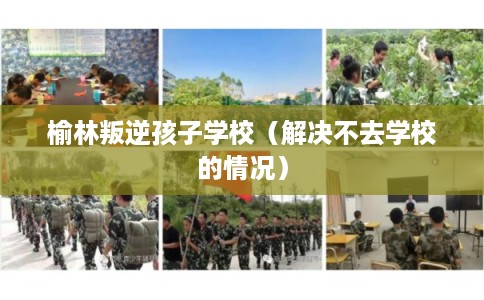 榆林叛逆孩子学校（解决不去学校的情况）
