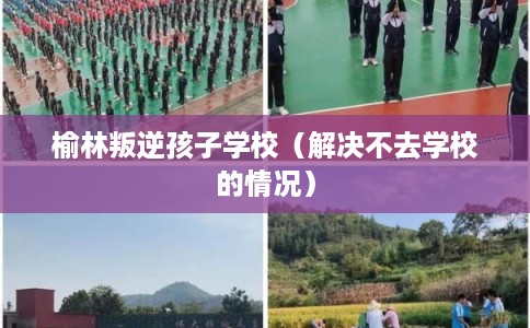 榆林叛逆孩子学校（解决不去学校的情况）