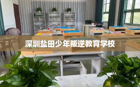 深圳盐田少年叛逆教育学校