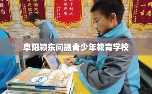 阜阳颍东问题青少年教育学校