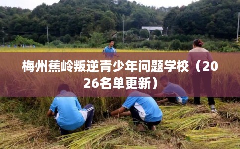 梅州蕉岭叛逆青少年问题学校(2026名单更新) 梅州蕉岭叛逆青少年问题学校(2026名单更新)