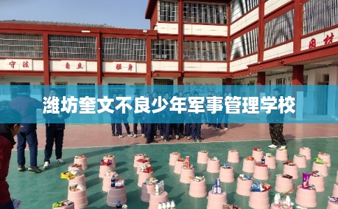 潍坊奎文不良少年军事管理学校