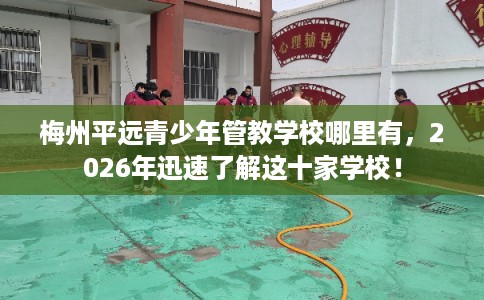 梅州平远青少年管教学校哪里有,2026年迅速了解这十家学校! 梅州平远青少年管教学校哪里有,2026年迅速了解这十家学校!