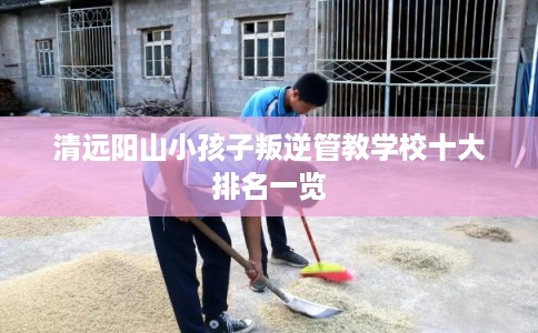 清远阳山小孩子叛逆管教学校十大排名一览 清远阳山小孩子叛逆管教学校十大排名一览