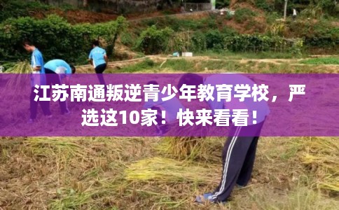 江苏南通叛逆青少年教育学校，严选这10家！快来看看！