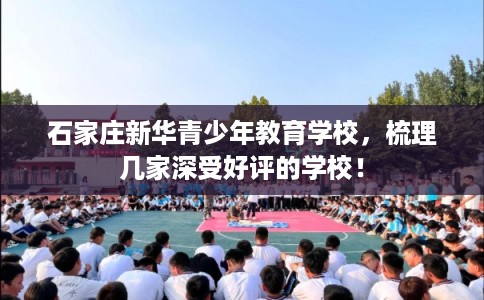 石家庄新华青少年教育学校，梳理几家深受好评的学校！