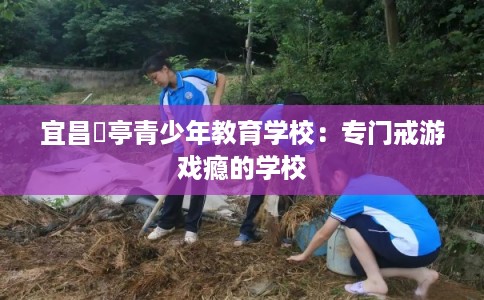 宜昌猇亭青少年教育学校：专门戒游戏瘾的学校