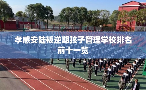 孝感安陆叛逆期孩子管理学校排名前十一览