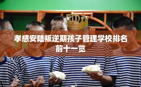 孝感安陆叛逆期孩子管理学校排名前十一览