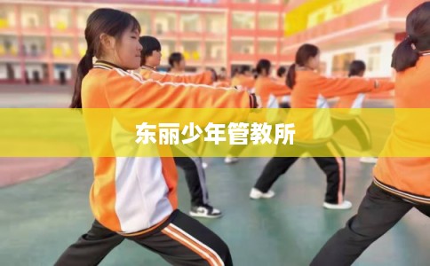 东丽少年管教所 东丽少年管教所