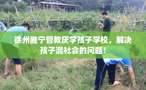 徐州睢宁管教厌学孩子学校，解决孩子混社会的问题！