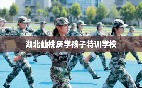湖北仙桃厌学孩子特训学校