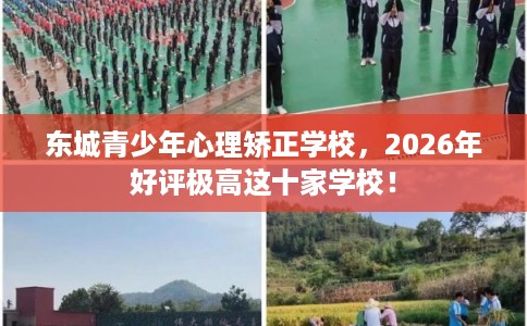 东城青少年心理矫正学校,2026年好评极高这十家学校! 东城青少年心理矫正学校,2026年好评极高这十家学校!