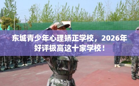 东城青少年心理矫正学校，2026年好评极高这十家学校！
