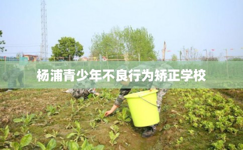 杨浦青少年不良行为矫正学校