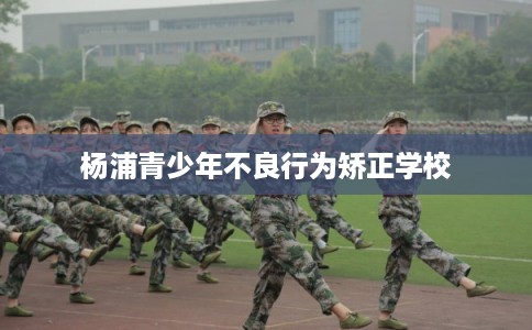 杨浦青少年不良行为矫正学校