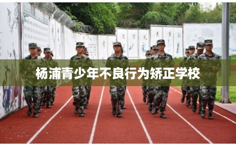 杨浦青少年不良行为矫正学校