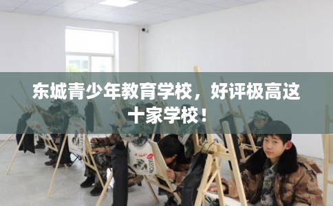 东城青少年教育学校，好评极高这十家学校！