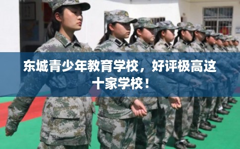 东城青少年教育学校，好评极高这十家学校！