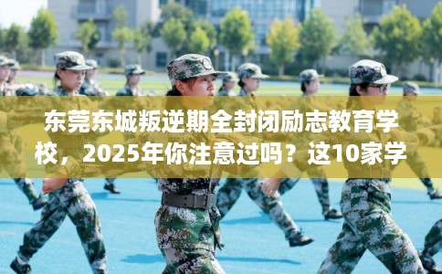东莞东城叛逆期全封闭励志教育学校，2025年你注意过吗？这10家学校！
