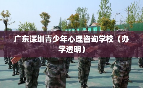 广东深圳青少年心理咨询学校(办学透明) 广东深圳青少年心理咨询学校(办学透明)