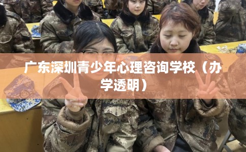 广东深圳青少年心理咨询学校(办学透明) 广东深圳青少年心理咨询学校(办学透明)
