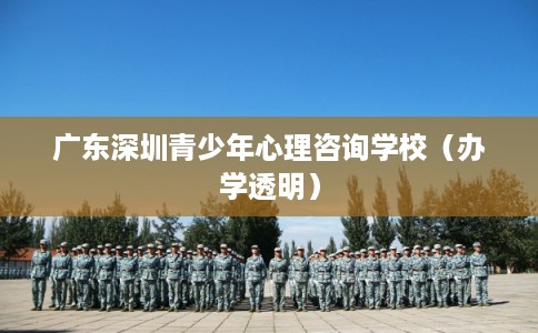 广东深圳青少年心理咨询学校（办学透明）