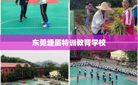 东莞塘厦特训教育学校