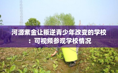 河源紫金让叛逆青少年改变的学校：可视频参观学校情况