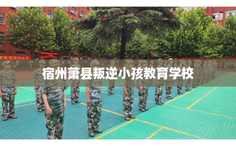 宿州萧县叛逆小孩教育学校